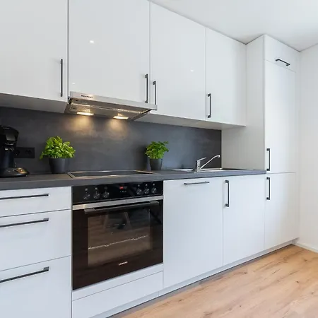 Modern 3-room With Flexible Beds Near Basel - Business & Leisure Apartamento Lörrach